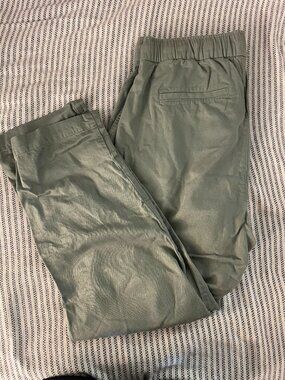 Gap Sage Green Cotton Rayon Easy Pant Elastic Waist Drawstring